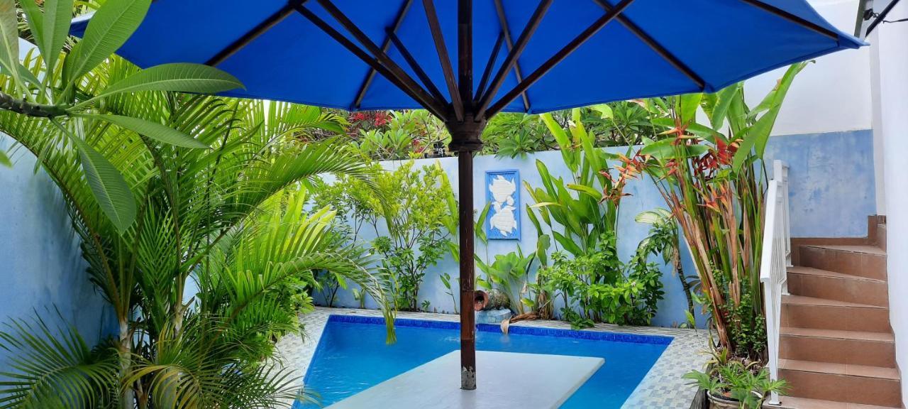 Turtle Island Homestay Санур Экстерьер фото