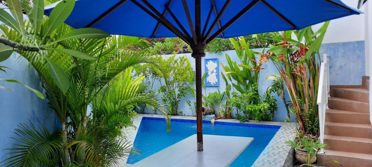 Turtle Island Homestay Санур Экстерьер фото